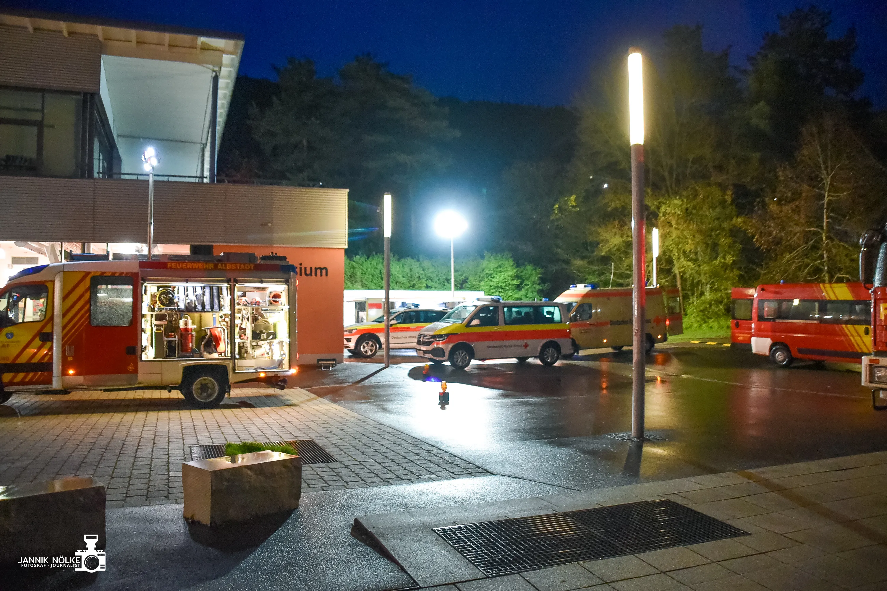 Bild der Galerie